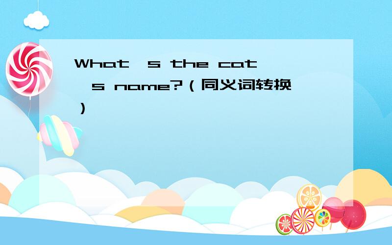 What's the cat's name?（同义词转换）