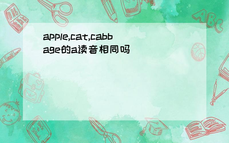 apple,cat,cabbage的a读音相同吗