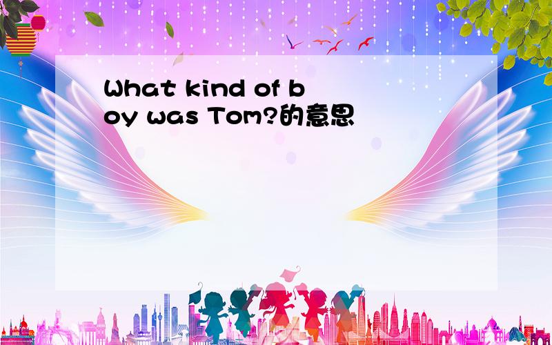 What kind of boy was Tom?的意思