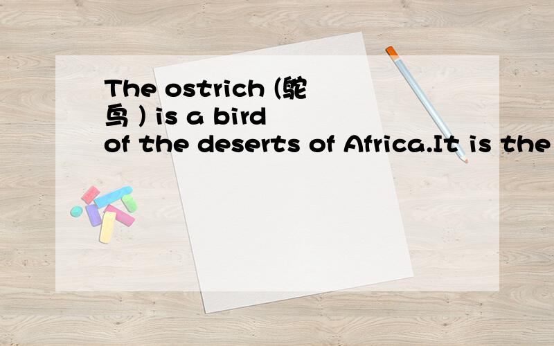 The ostrich (鸵鸟 ) is a bird of the deserts of Africa.It is the largest of all birds.It is often 10 feet high.Sometimes the ostrich is called the 
