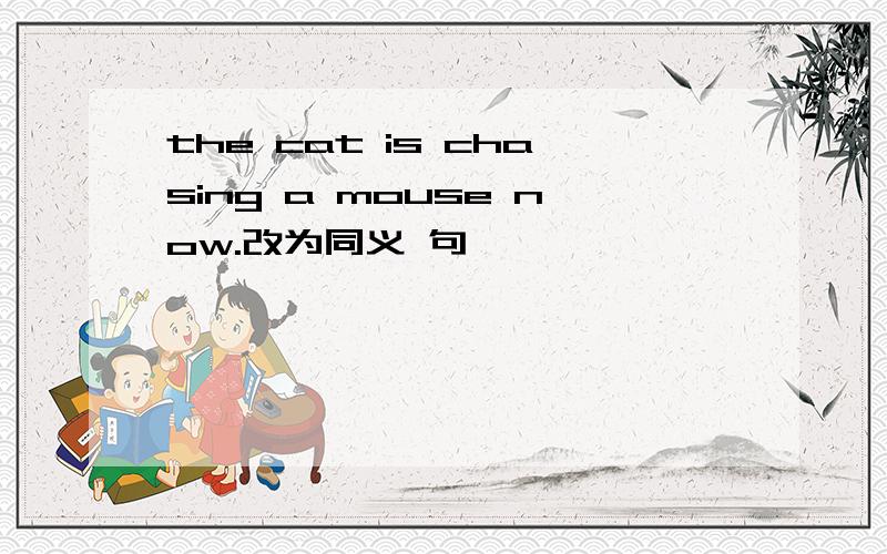 the cat is chasing a mouse now.改为同义 句