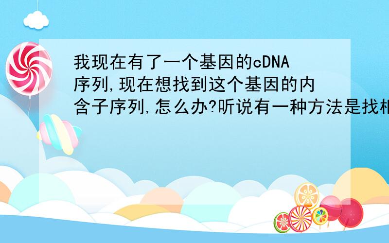 我现在有了一个基因的cDNA序列,现在想找到这个基因的内含子序列,怎么办?听说有一种方法是找相近物种该基因的全序列,然后做比对然后找到内含子位置,再设计引物将内含子区域测序?有没有
