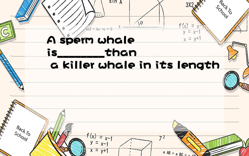A sperm whale is________than a killer whale in its length