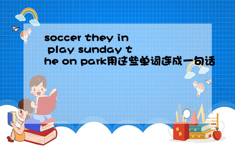 soccer they in play sunday the on park用这些单词连成一句话