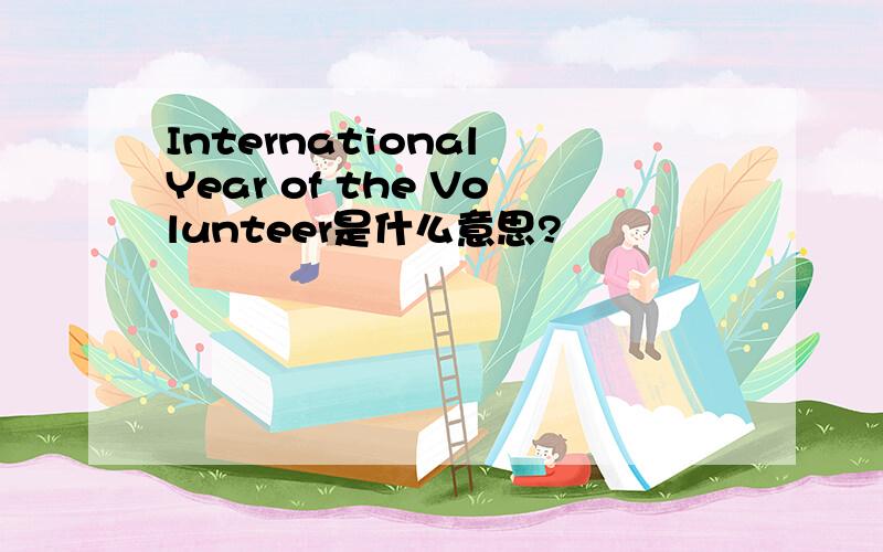 International Year of the Volunteer是什么意思?