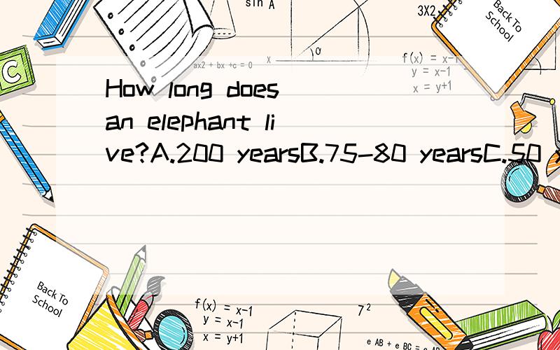 How long does an elephant live?A.200 yearsB.75-80 yearsC.50 yearsD.2 years为什么