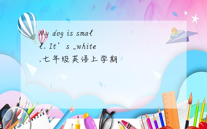 My dog is small. It’s _white.七年级英语上学期