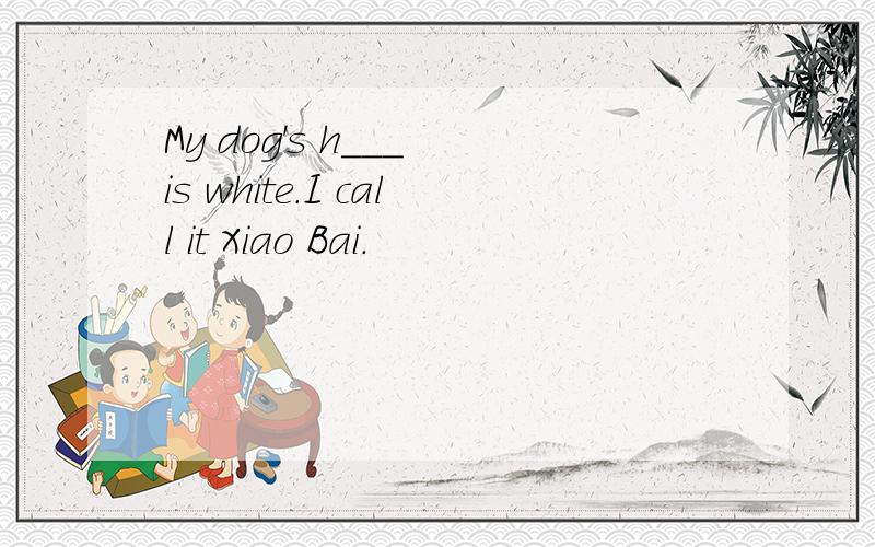 My dog's h___ is white.I call it Xiao Bai.