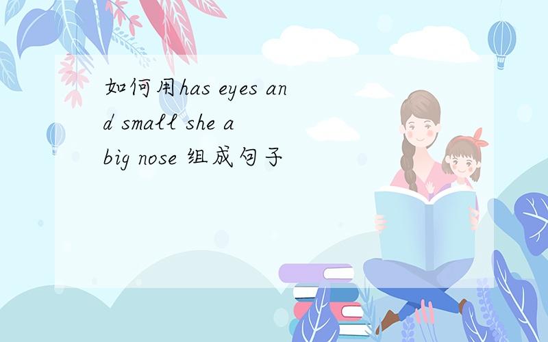 如何用has eyes and small she a big nose 组成句子