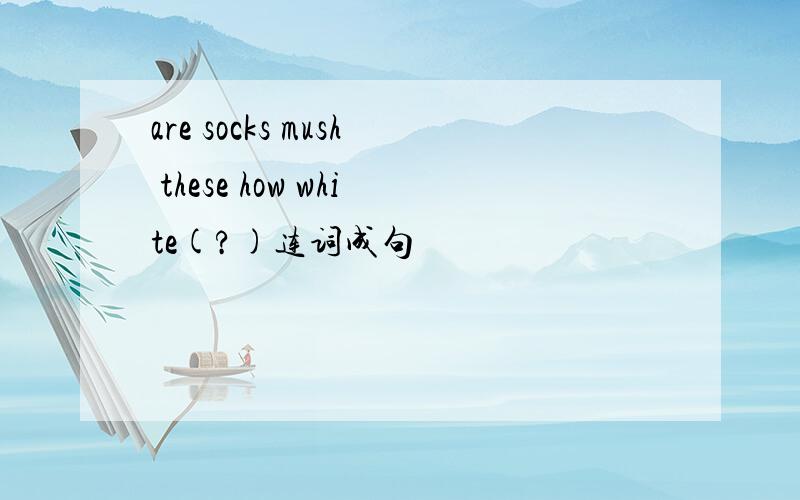 are socks mush these how white(?)连词成句
