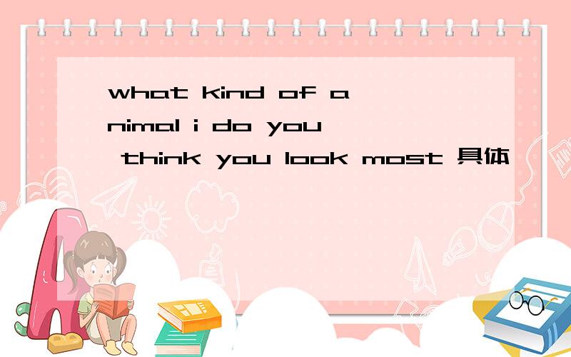 what kind of animal i do you think you look most 具体