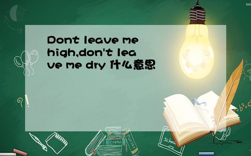 Dont leave me high,don't leave me dry 什么意思