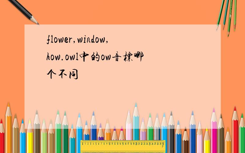 flower,window,how.owl中的ow音标哪个不同