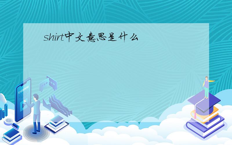 shirt中文意思是什么