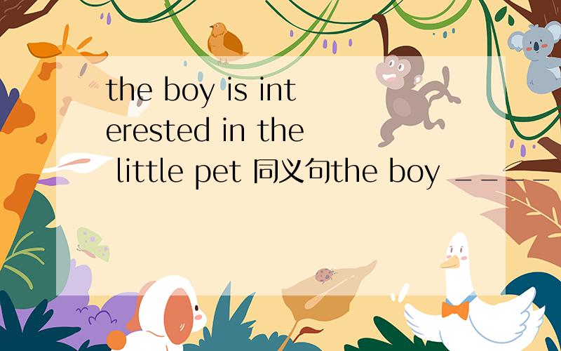 the boy is interested in the little pet 同义句the boy ____ ____ ____ ____ the little pet