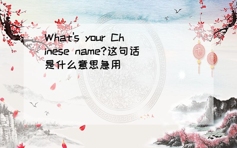 What's your Chinese name?这句话是什么意思急用
