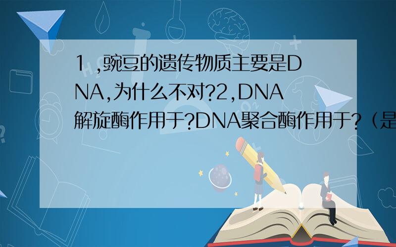 1 ,豌豆的遗传物质主要是DNA,为什么不对?2,DNA解旋酶作用于?DNA聚合酶作用于?（是磷酸二酯键还是氢键?）