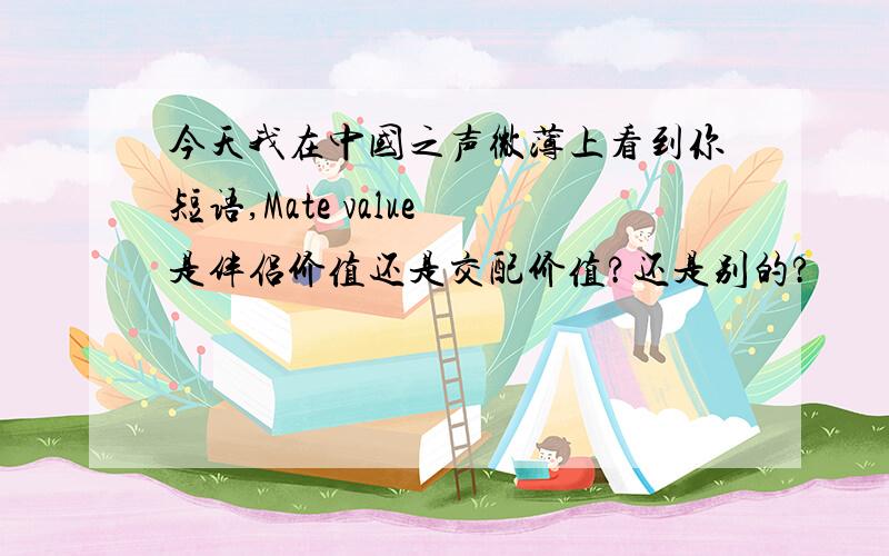 今天我在中国之声微薄上看到你短语,Mate value 是伴侣价值还是交配价值?还是别的?