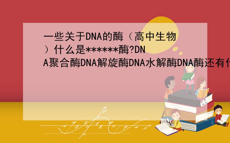一些关于DNA的酶（高中生物）什么是******酶?DNA聚合酶DNA解旋酶DNA水解酶DNA酶还有什么我没有说的 关于DNA的酶呢?