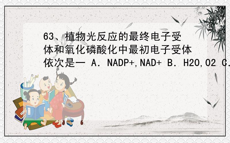 63、植物光反应的最终电子受体和氧化磷酸化中最初电子受体依次是一 A．NADP+,NAD+ B．H20,02 C．ATP,AD63、植物光反应的最终电子受体和氧化磷酸化中最初电子受体依次是一A．NADP+,NAD+ B．H20,02 C