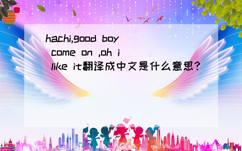 hachi,good boy come on ,oh i like it翻译成中文是什么意思?
