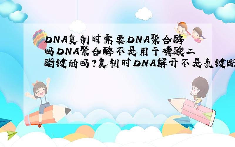 DNA复制时需要DNA聚合酶吗DNA聚合酶不是用于磷酸二酯键的吗?复制时DNA解开不是氢键断裂?迷惑中……