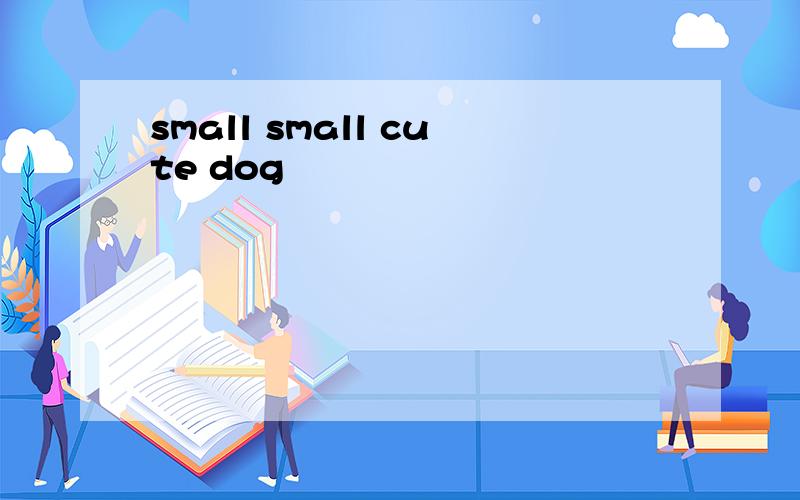small small cute dog