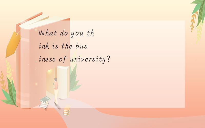 What do you think is the business of university?