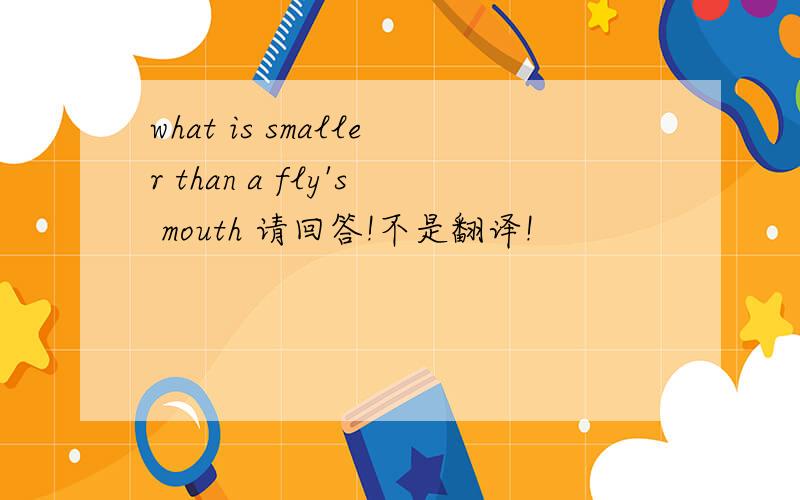 what is smaller than a fly's mouth 请回答!不是翻译!