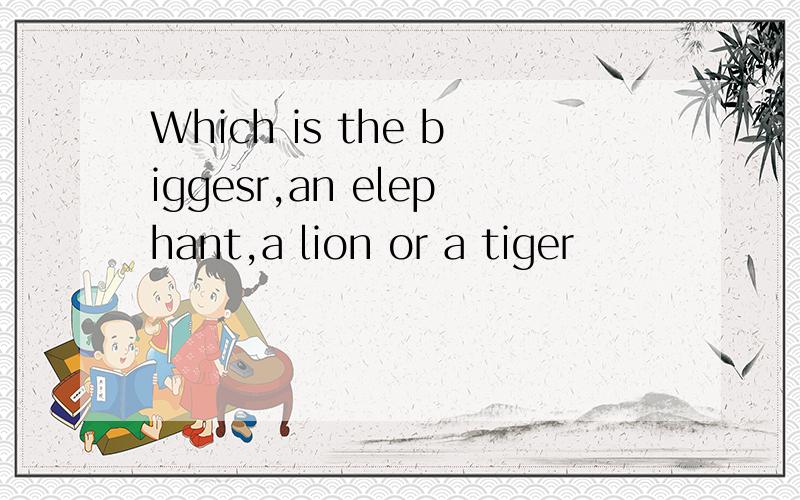 Which is the biggesr,an elephant,a lion or a tiger