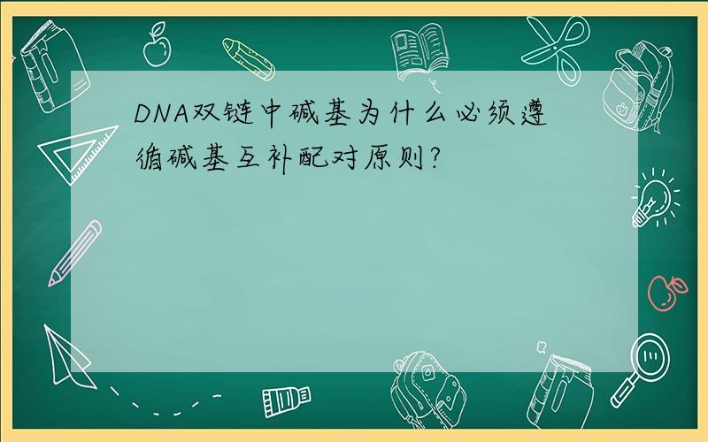 DNA双链中碱基为什么必须遵循碱基互补配对原则?