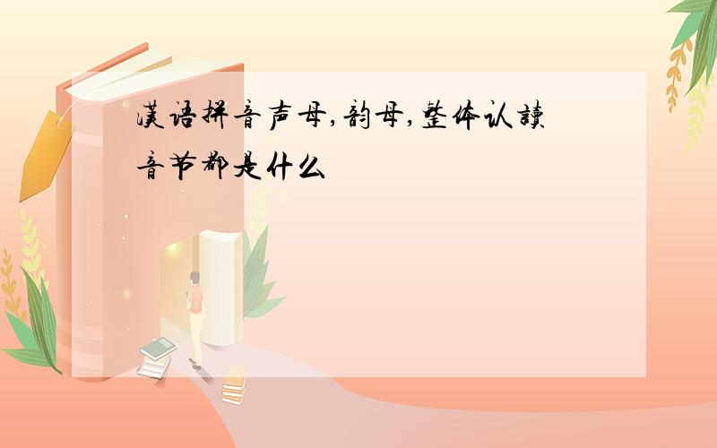汉语拼音声母,韵母,整体认读音节都是什么