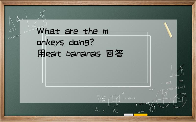 What are the monkeys doing?(用eat bananas 回答)