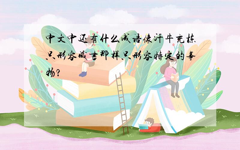 中文中还有什么成语像汗牛充栋只形容藏书那样只形容特定的事物?