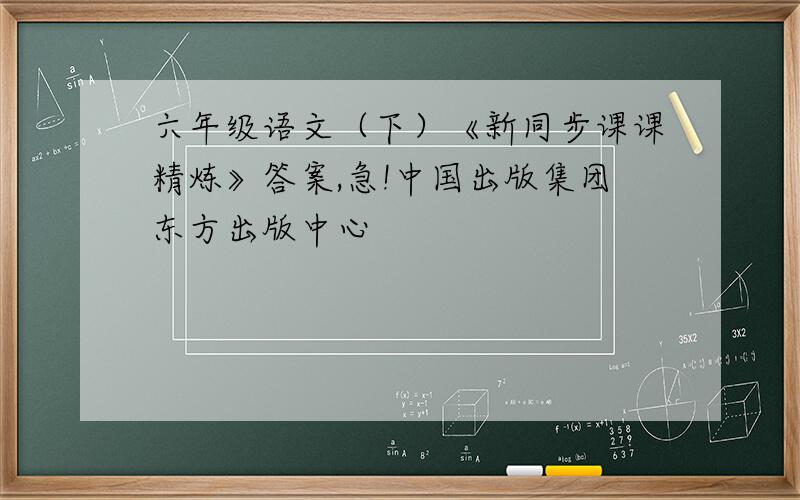 六年级语文（下）《新同步课课精炼》答案,急!中国出版集团东方出版中心