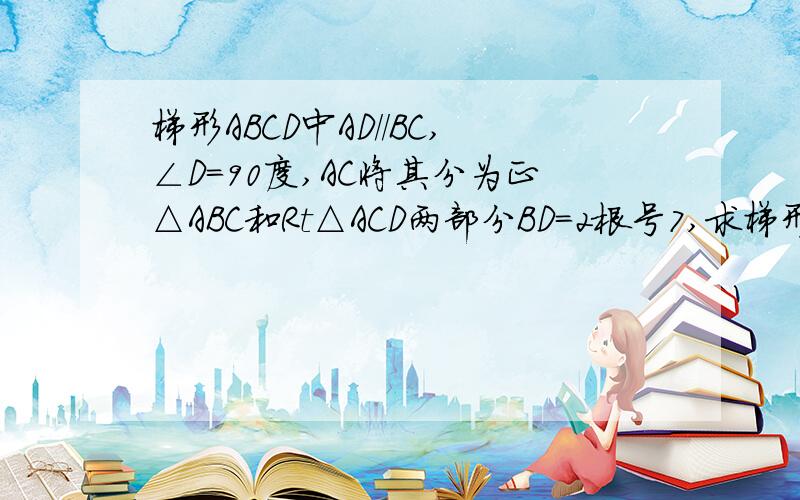 梯形ABCD中AD//BC,∠D=90度,AC将其分为正△ABC和Rt△ACD两部分BD=2根号7,求梯形的面积- -