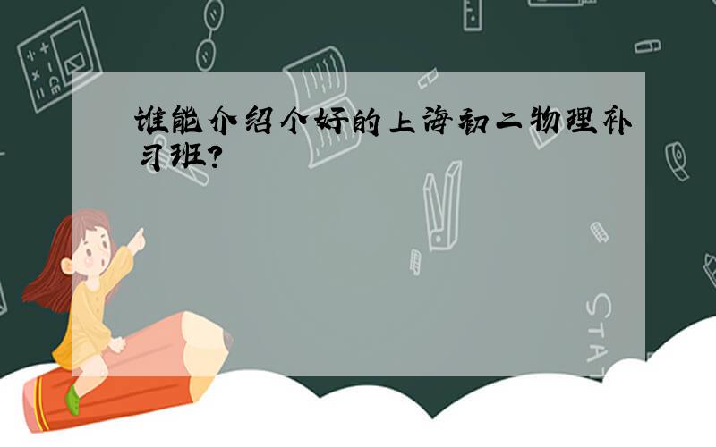 谁能介绍个好的上海初二物理补习班?