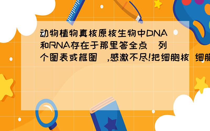 动物植物真核原核生物中DNA和RNA存在于那里答全点（列个图表或框图）,感激不尽!把细胞核 细胞质 叶绿体 线粒体 答上去.