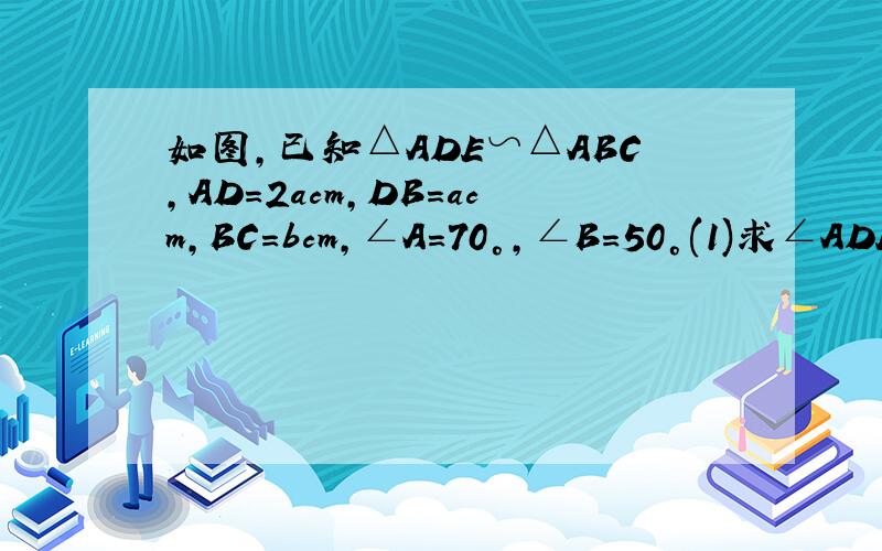 如图,已知△ADE∽△ABC,AD=2acm,DB=acm,BC=bcm,∠A=70°,∠B=50°(1)求∠ADE的大小(2)求∠AED的大小(3)求DE的长