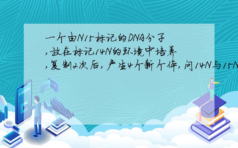 一个由N15标记的DNA分子,放在标记14N的环境中培养,复制2次后,产生4个新个体,问14N与15N链的比例.求分