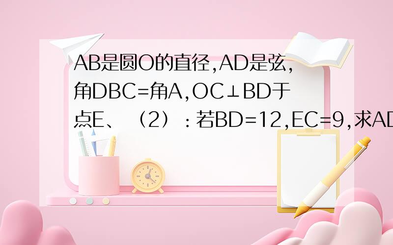 AB是圆O的直径,AD是弦,角DBC=角A,OC⊥BD于点E、 （2）：若BD=12,EC=9,求AD的长