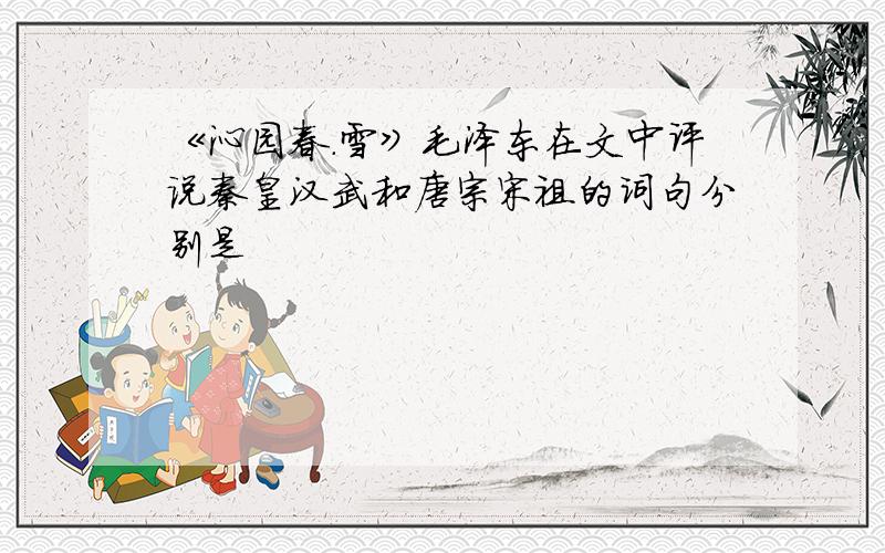 《沁园春.雪》毛泽东在文中评说秦皇汉武和唐宗宋祖的词句分别是