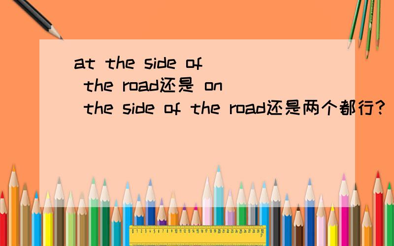 at the side of the road还是 on the side of the road还是两个都行?