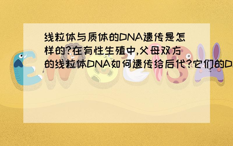 线粒体与质体的DNA遗传是怎样的?在有性生殖中,父母双方的线粒体DNA如何遗传给后代?它们的DNA是环状双链DNA吗?