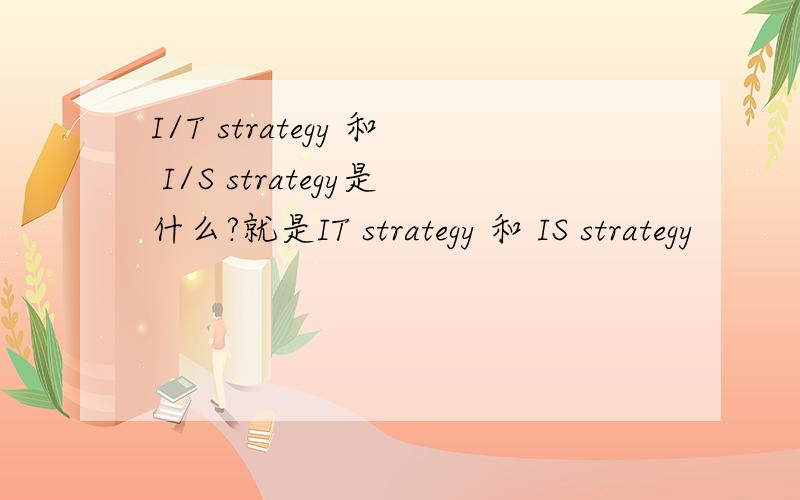 I/T strategy 和 I/S strategy是什么?就是IT strategy 和 IS strategy