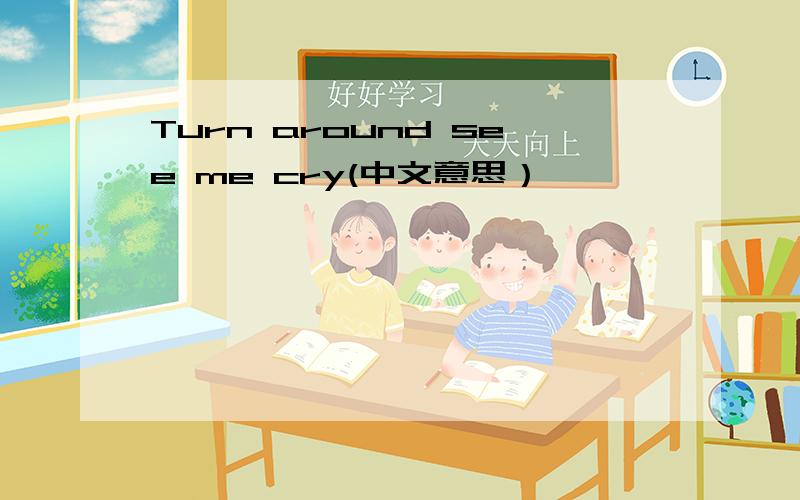 Turn around see me cry(中文意思）