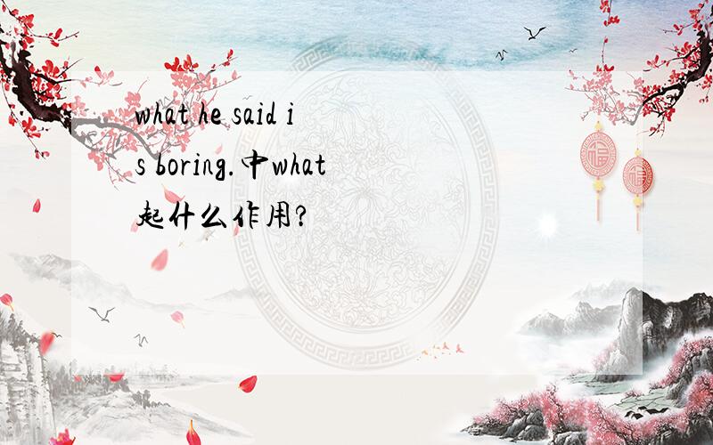 what he said is boring.中what起什么作用?