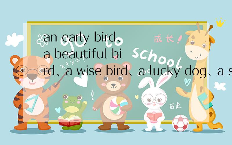 an early bird、a beautiful bird、a wise bird、a lucky dog、a shy fish的中文意思