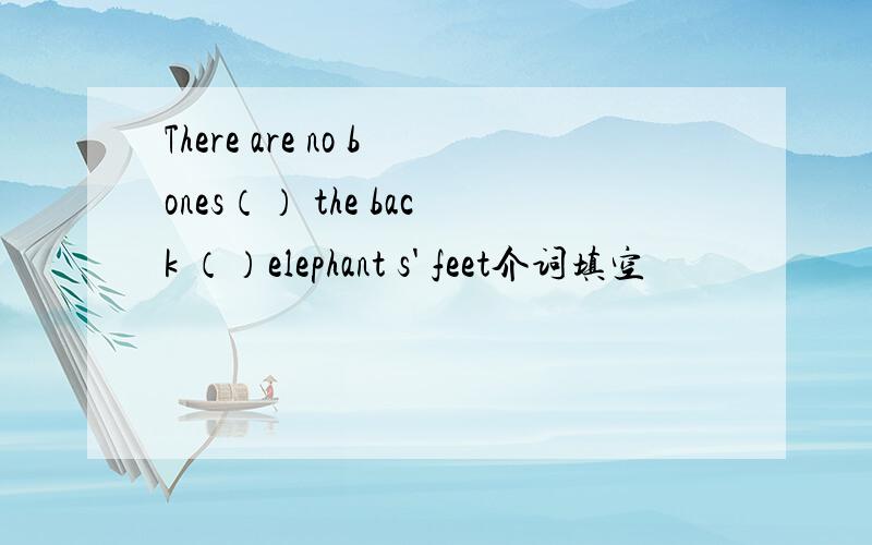 There are no bones（） the back （）elephant s' feet介词填空