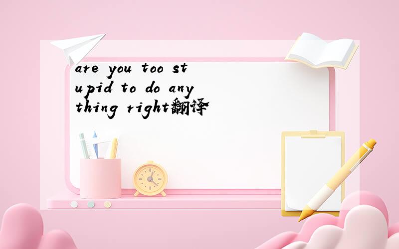 are you too stupid to do anything right翻译